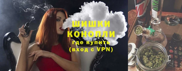 ГАЛЛЮЦИНОГЕННЫЕ ГРИБЫ Абаза