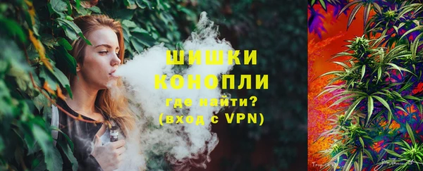 ГАЛЛЮЦИНОГЕННЫЕ ГРИБЫ Абаза