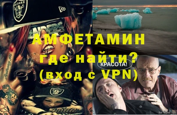 ГАЛЛЮЦИНОГЕННЫЕ ГРИБЫ Абаза