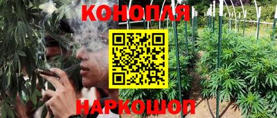 спайс Кулебаки