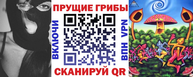 Галлюциногенные грибы Psilocybine cubensis  Дербент 