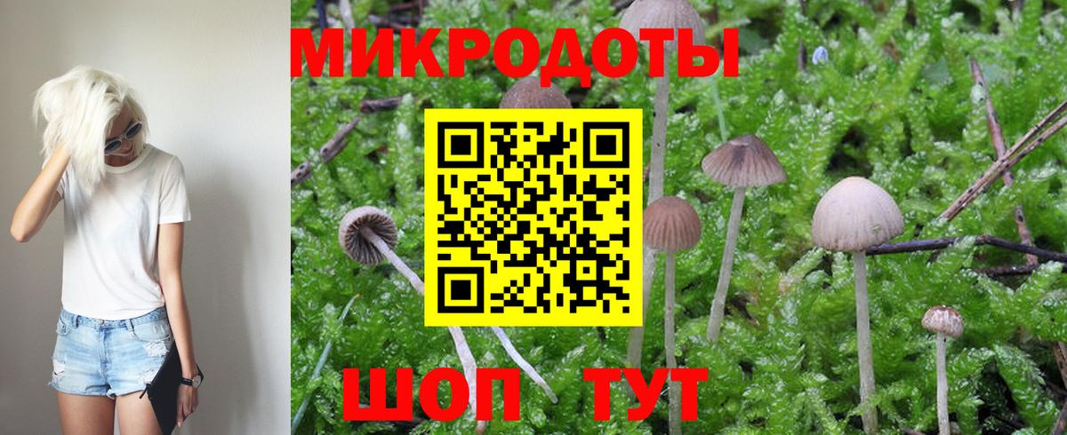 Галлюциногенные грибы Magic Shrooms Дербент